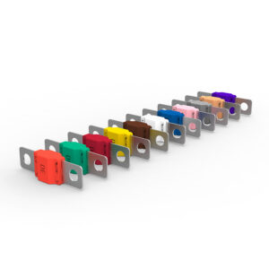 Fuses & Holders